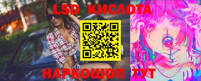 прущие грибы Пенза