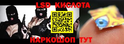 прущие грибы Пенза