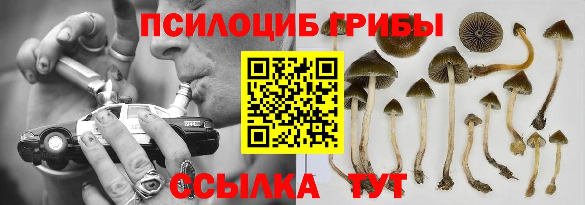 Галлюциногенные грибы мухоморы Ростов-на-Дону